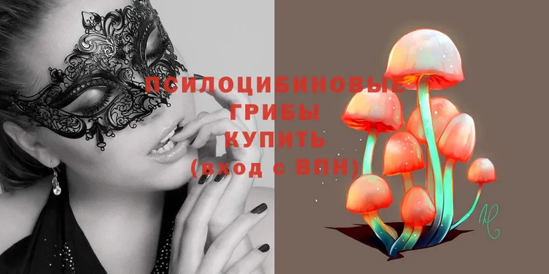 kraken вход  Бородино  Псилоцибиновые грибы Magic Shrooms 